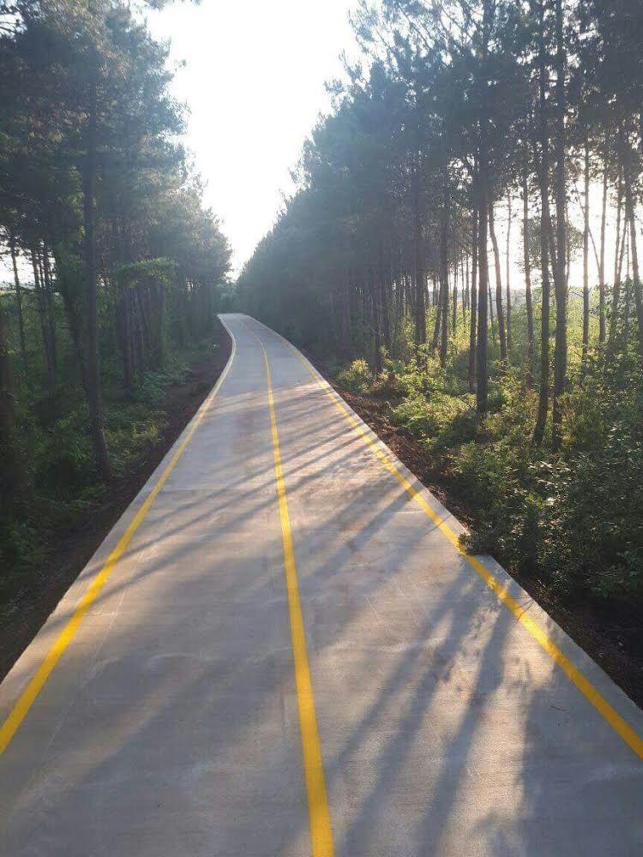 Karamürsel İlçesi B.Ş.B Destek Hiz. Daire Başkanlığı İhale İşleri Şube Müd. Yol Yapım İşi